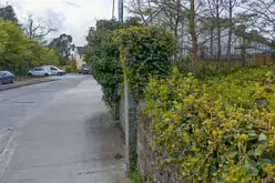 WINDY ARBOUR [GREEN SPACES]-216837-1