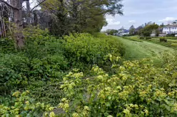 WINDY ARBOUR [GREEN SPACES]-216840-1