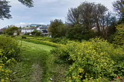 WINDY ARBOUR [GREEN SPACES]-216843-1