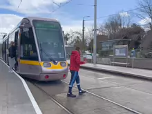 WINDY ARBOUR AND NEARBY [INCLUDING THE LUAS TRAM STOP]-215711-1