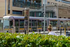 RED LINE TRAM SERVICE [TRAMS TRAVELLING TO AND FROM THE POINT]-236506-1