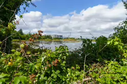 BOOTERSTOWN RAILWAY STATION [AND THE IMMEDIATE AREA]-238474-1