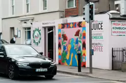 THE JUNGLE CAFE AND THE STREET ART [DUN LAOGHAIRE]-237103-1