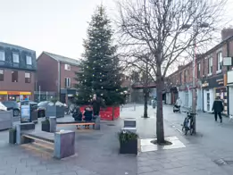 RANELAGH VILLAGE [CHRISTMAS 2020]-168991-1