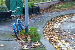 NORTHBROOK AVENUE [AT THE ENTRANCE TO RANELAGH GARDENS PUBLIC PARK]-158000-1