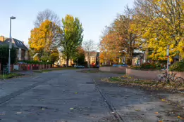 NORTHBROOK AVENUE [AT THE ENTRANCE TO RANELAGH GARDENS PUBLIC PARK]-158006-1