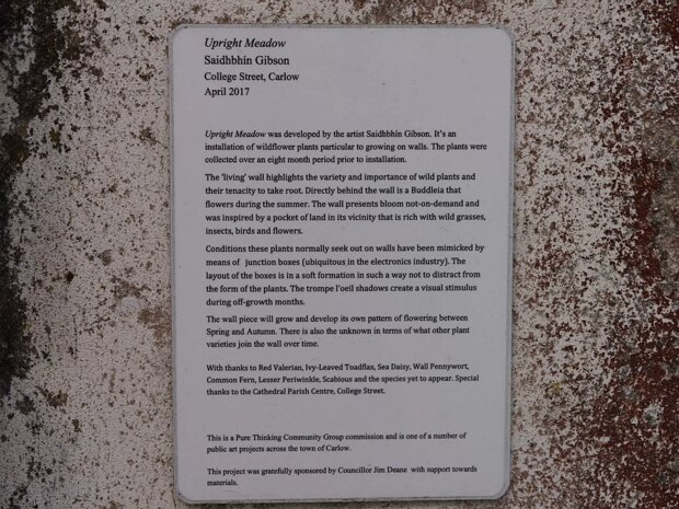 UPRIGHT MEADOW Saidhbhín Gibson’s work explores the framing of the non-human environment for and by contemporary society. She employs...