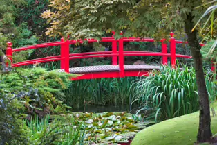 JAPANESE GARDENS [NEAR KILDARE TOWN 27 JULY 2009] X-234947-1
