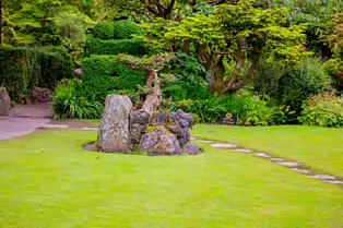 JAPANESE GARDENS [NEAR KILDARE TOWN 27 JULY 2009] X-234958-1