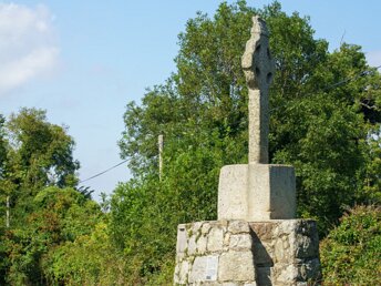 LAUGHANSTOWN Photographed In September 2011 By William Murphy
