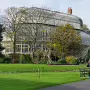 THE BOTANIC GARDENS IN GLASNEVIN [SHOT WITH A SONY FE 100MM F2.8 MACRO OSS GM]-259810-1