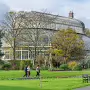 THE BOTANIC GARDENS IN GLASNEVIN [SHOT WITH A SONY FE 100MM F2.8 MACRO OSS GM]-259812-1