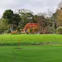 THE BOTANIC GARDENS IN GLASNEVIN [SHOT WITH A SONY FE 100MM F2.8 MACRO OSS GM]-259813-1
