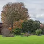 THE BOTANIC GARDENS IN GLASNEVIN [SHOT WITH A SONY FE 100MM F2.8 MACRO OSS GM]-259814-1