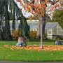 THE BOTANIC GARDENS IN GLASNEVIN [SHOT WITH A SONY FE 100MM F2.8 MACRO OSS GM]-259815-1