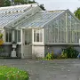 THE BOTANIC GARDENS IN GLASNEVIN [SHOT WITH A SONY FE 100MM F2.8 MACRO OSS GM]-259816-1