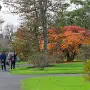 THE BOTANIC GARDENS IN GLASNEVIN [SHOT WITH A SONY FE 100MM F2.8 MACRO OSS GM]-259817-1