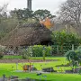 THE BOTANIC GARDENS IN GLASNEVIN [SHOT WITH A SONY FE 100MM F2.8 MACRO OSS GM]-259819-1