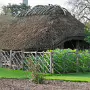 THE BOTANIC GARDENS IN GLASNEVIN [SHOT WITH A SONY FE 100MM F2.8 MACRO OSS GM]-259820-1