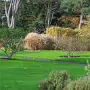 THE BOTANIC GARDENS IN GLASNEVIN [SHOT WITH A SONY FE 100MM F2.8 MACRO OSS GM]-259822-1