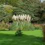 THE BOTANIC GARDENS IN GLASNEVIN [SHOT WITH A SONY FE 100MM F2.8 MACRO OSS GM]-259829-1