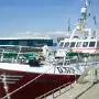 JANUARY 22 2018 VISIT TO HOWTH [INCORRECT DATE CHANGED FROM 09-01-2009 TO 22-01-2018]X-259787-1