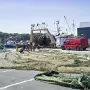 JANUARY 22 2018 VISIT TO HOWTH [INCORRECT DATE CHANGED FROM 09-01-2009 TO 22-01-2018]X-259791-1