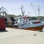 JANUARY 22 2018 VISIT TO HOWTH [INCORRECT DATE CHANGED FROM 09-01-2009 TO 22-01-2018]X-259795-1