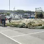 JANUARY 22 2018 VISIT TO HOWTH [INCORRECT DATE CHANGED FROM 09-01-2009 TO 22-01-2018]X-259796-1
