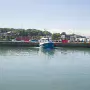 JANUARY 22 2018 VISIT TO HOWTH [INCORRECT DATE CHANGED FROM 09-01-2009 TO 22-01-2018]X-259786-1