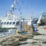 JANUARY 22 2018 VISIT TO HOWTH [INCORRECT DATE CHANGED FROM 09-01-2009 TO 22-01-2018]X-259788-1