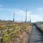 THE LAUGHANSTOWN TRAM STOP AND NEARBY [2 NOVEMBER 2025]-259303-1