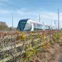 THE LAUGHANSTOWN TRAM STOP AND NEARBY [2 NOVEMBER 2025]-259305-1
