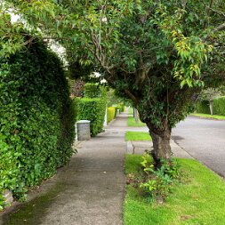 ROEBUCK AREA Discover the history of the Roebuck area in Dublin 14, a prestigious residential district nestled between Clonskeagh and...