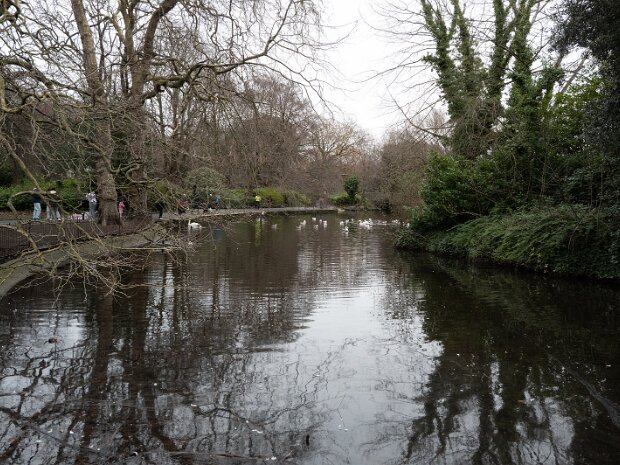 STEPHENS GREEN WAS WATERLOGGED This situation in St Stephen's Green is a stark reminder of the profound impact of extreme weather events on our urban...