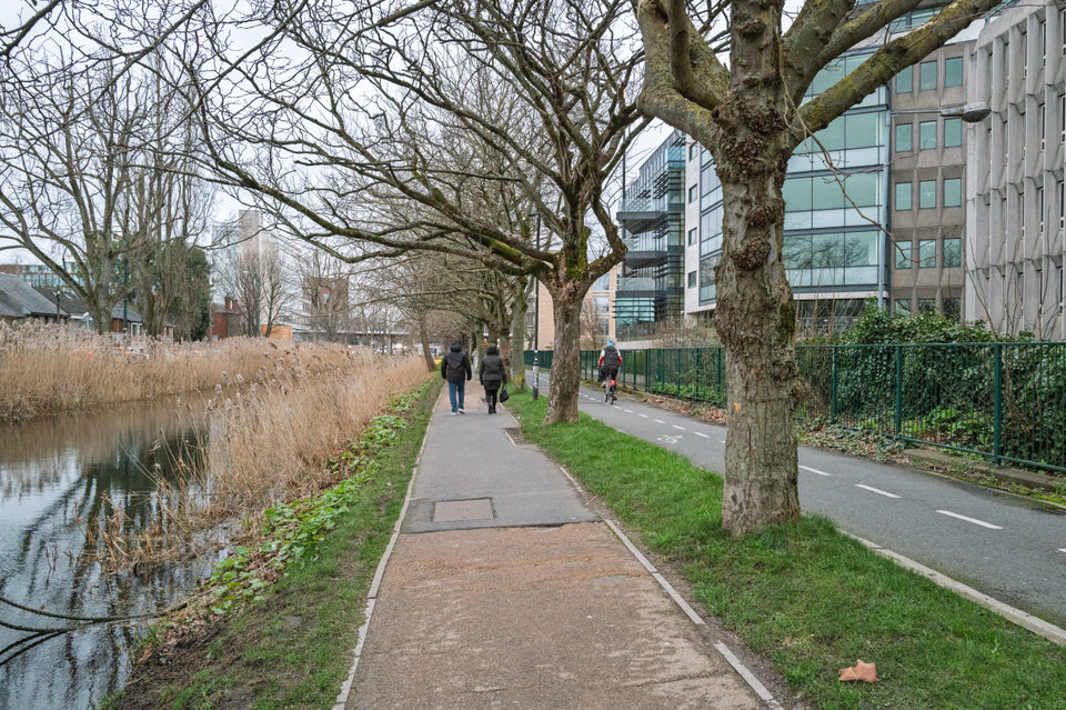 CHARLEMONT PLACE ALONG THE NORTH BANK OF THE GRAND CANAL [14 FEBRUARY 2026]-2643486.jpg