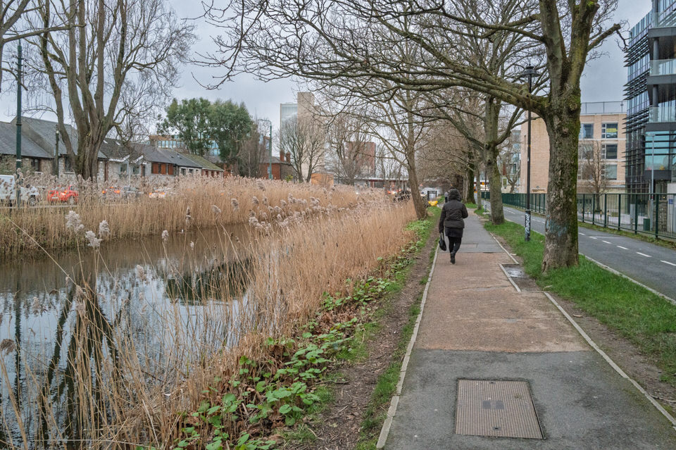 CHARLEMONT PLACE ALONG THE NORTH BANK OF THE GRAND CANAL [14 FEBRUARY 2026]-2643490.jpg