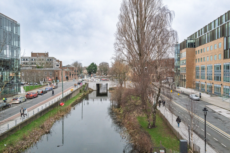 CHARLEMONT PLACE ALONG THE NORTH BANK OF THE GRAND CANAL [14 FEBRUARY 2026]-2643507.jpg