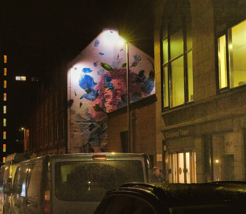In Your Face Mural On South James Street