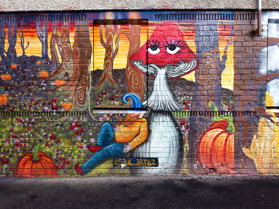 Laneway Off Rosemary Street