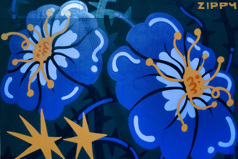 STREET ART AND MURALS ON LOWER GRANVILLE STREET [BELFAST DECEMBER 2025]-264128.jpg