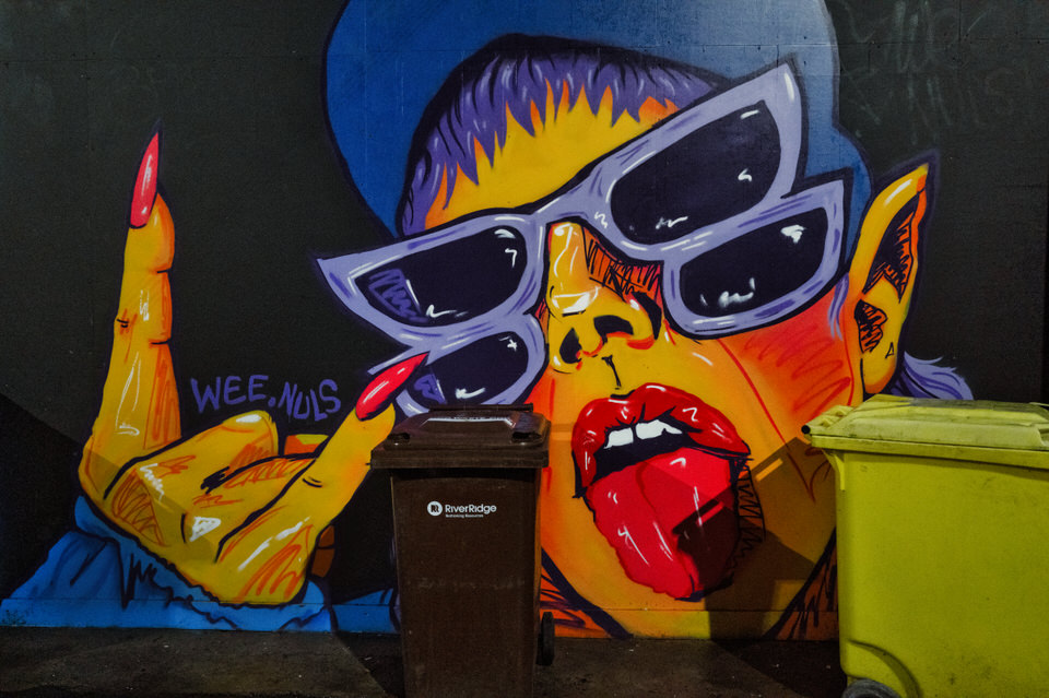 STREET ART AND MURALS ON LOWER GRANVILLE STREET [BELFAST DECEMBER 2025]-264130.jpg