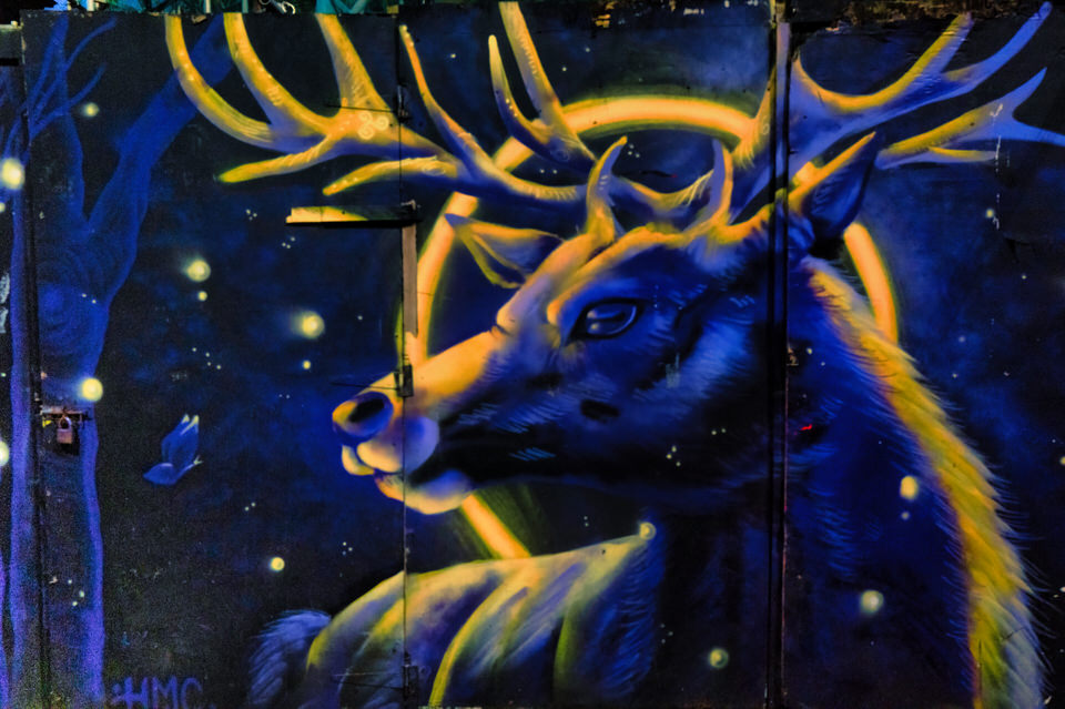 STREET ART AND MURALS ON LOWER GRANVILLE STREET [BELFAST DECEMBER 2025]-264145.jpg