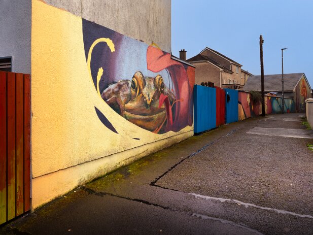 CABBAGE LANE MURALS Discover the hidden gems of Bohermore with a stroll through Cabbage Lane, Galway. Recently transformed by the "Greening...