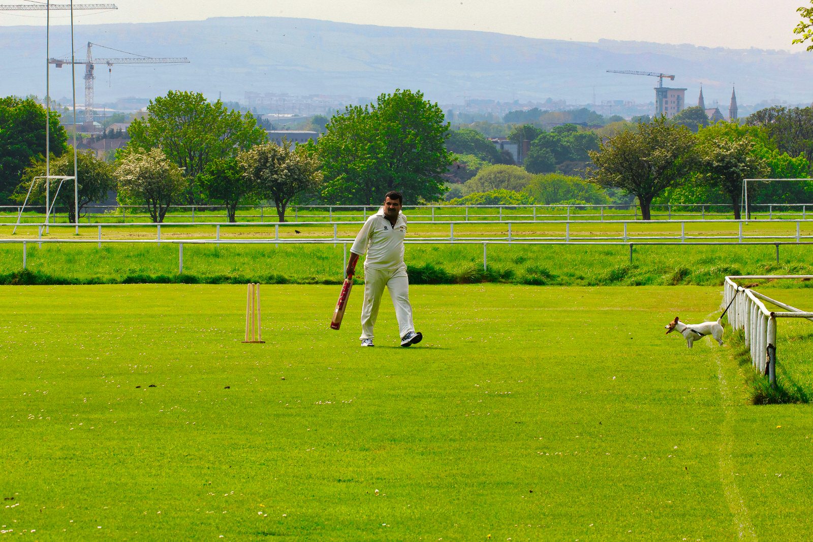 TWO CRICKET CLUBS IN PHOENIX PARK NEAR THE WELLINGTON MONUMENT 002