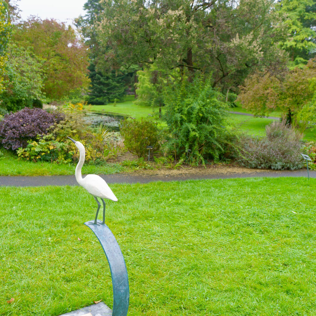 A WHITE HERON BY FIONA SMITH [ITEM 151 SCULPTURE IN CONTEXT 2023] 001