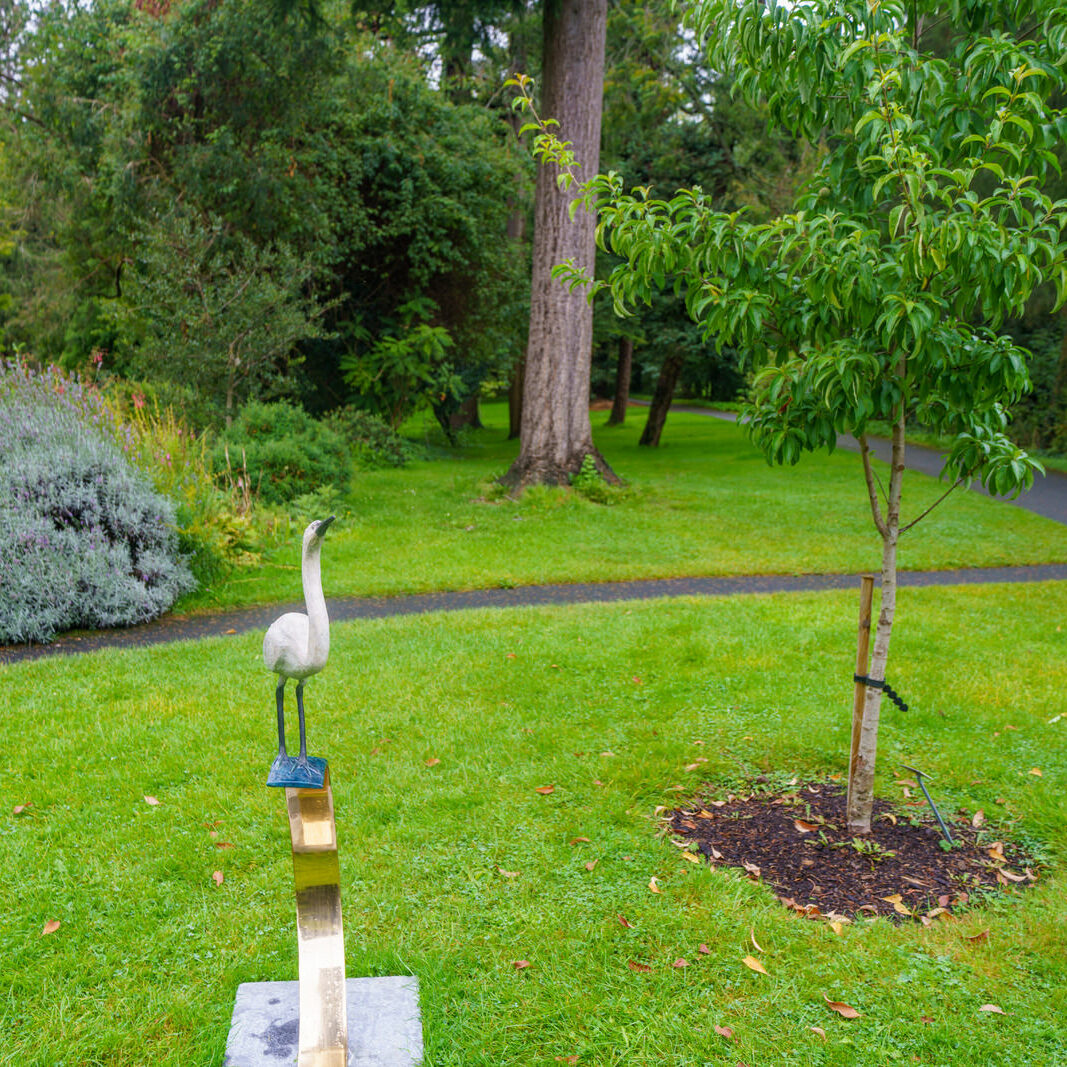 A WHITE HERON BY FIONA SMITH [ITEM 151 SCULPTURE IN CONTEXT 2023] 002