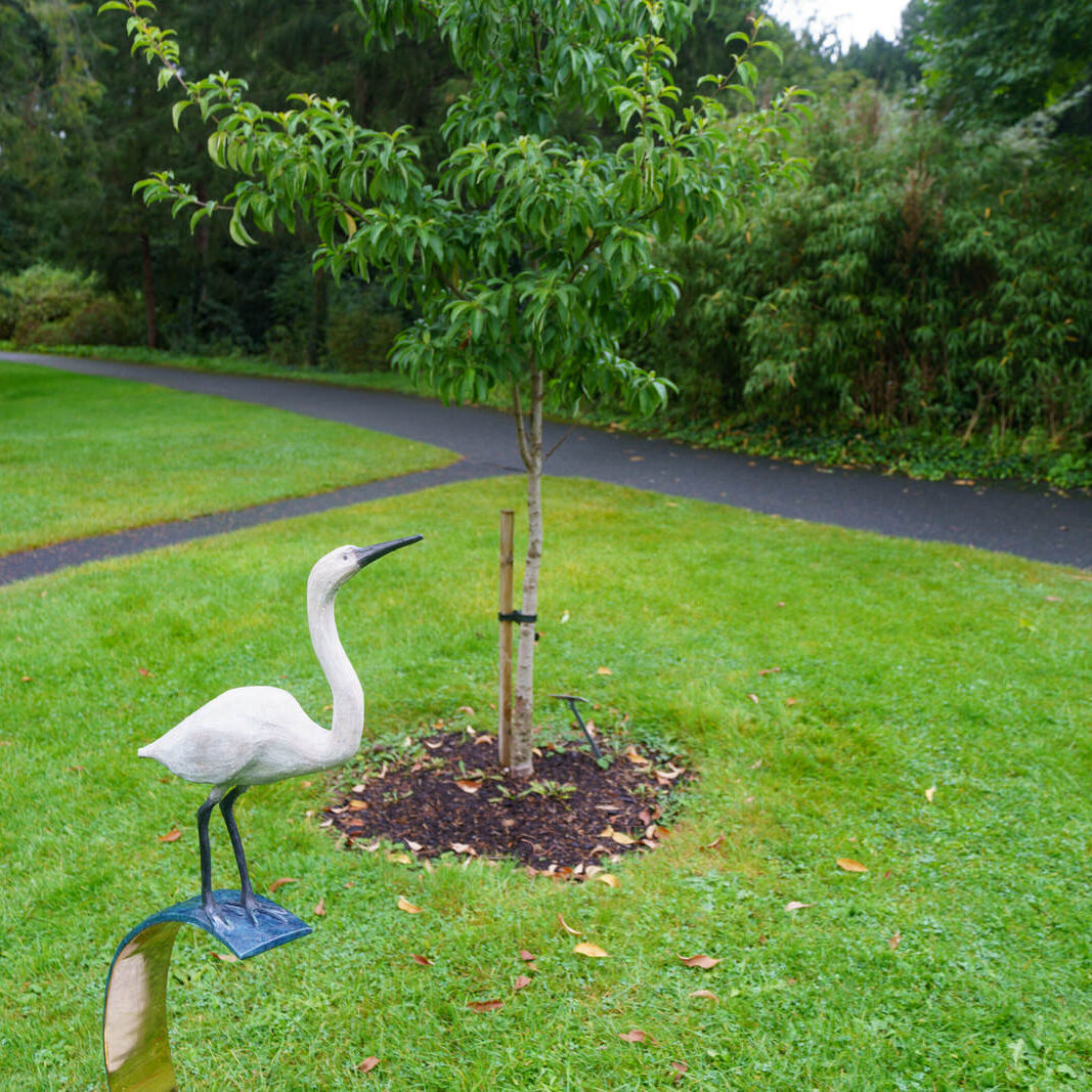 A WHITE HERON BY FIONA SMITH [ITEM 151 SCULPTURE IN CONTEXT 2023] 003