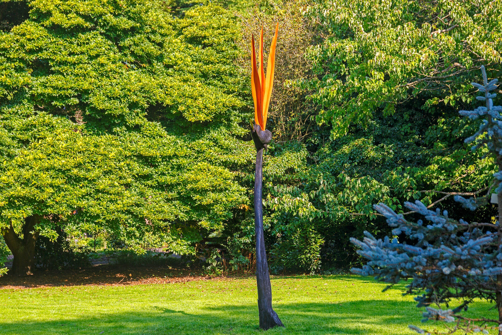 BIRD OF PARADISE BY BRIAN O'LOUGHLAIN [SCULPTURE IN CONTEXT 2023 CATALOGUE REF 131] 007