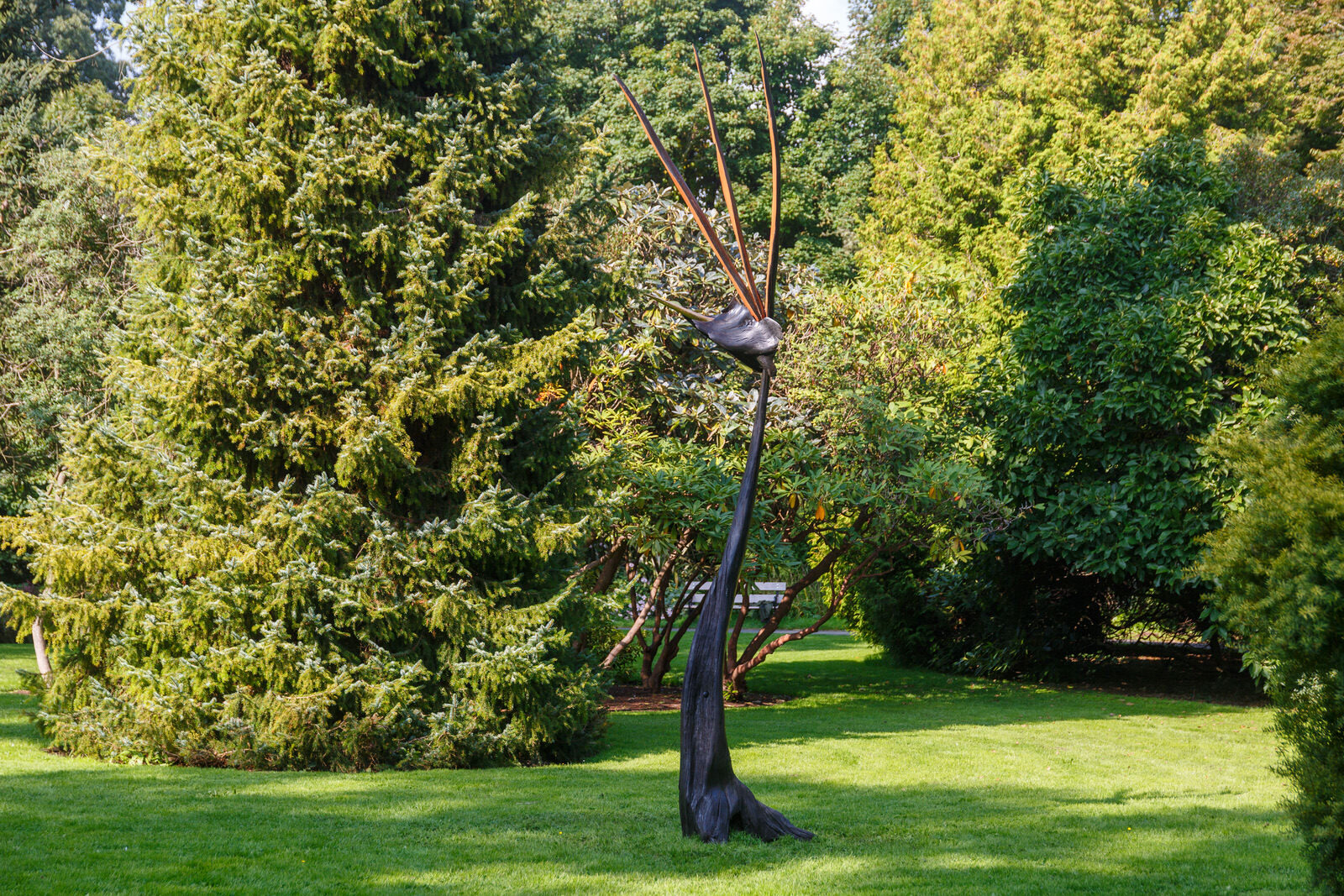BIRD OF PARADISE BY BRIAN O'LOUGHLAIN [SCULPTURE IN CONTEXT 2023 CATALOGUE REF 131] 009